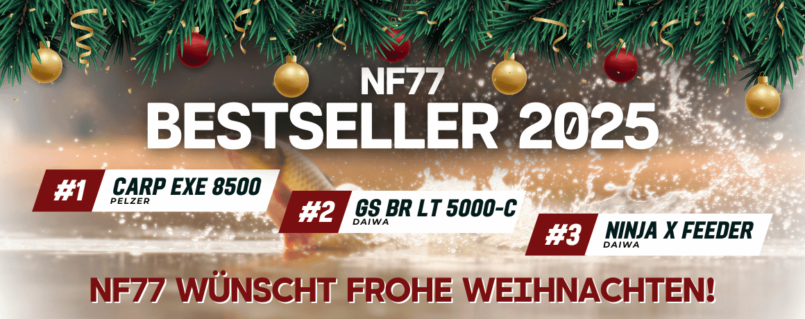 Pflanze, Baum, Weihnachten, Weihnachtsdekorationen, Festival