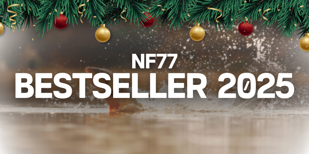 Pflanze, Baum, Weihnachten, Weihnachtsdekorationen, Festival