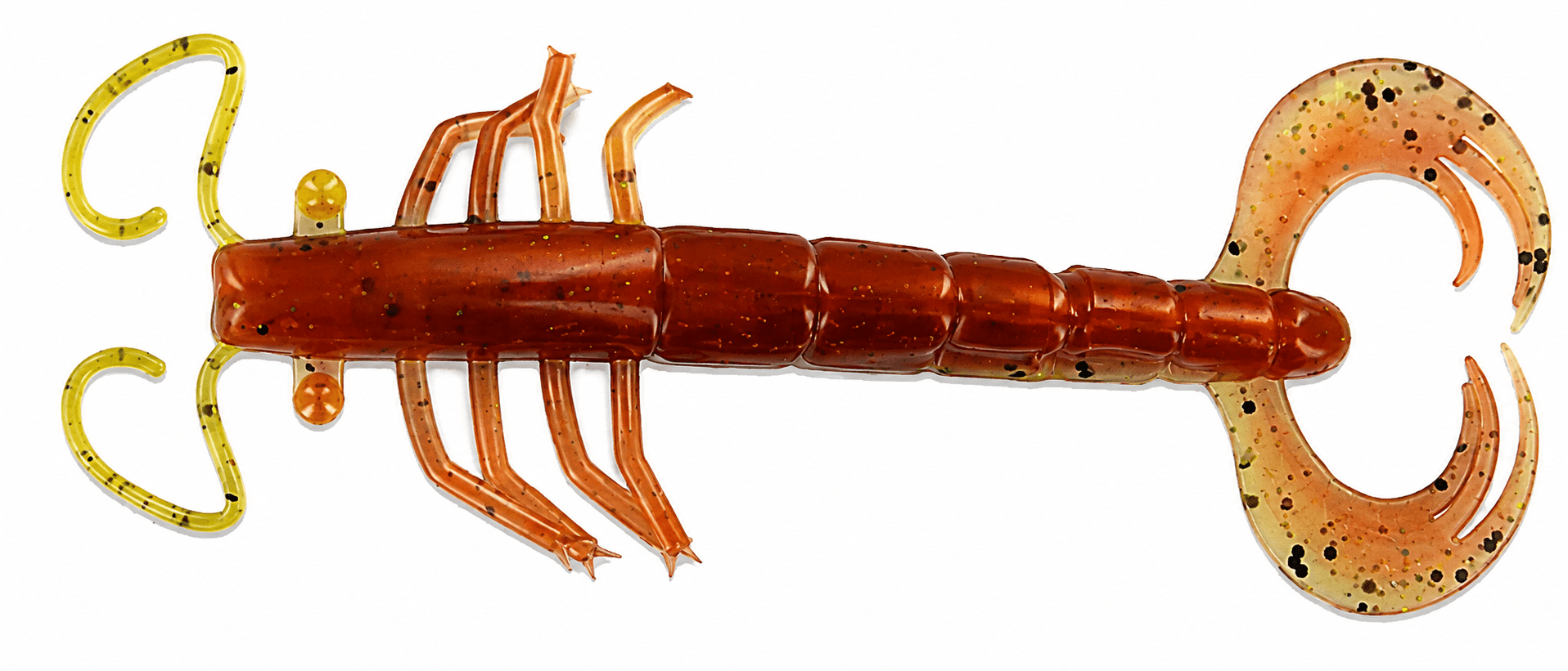 Scorpion-Larve?, We should adjust: