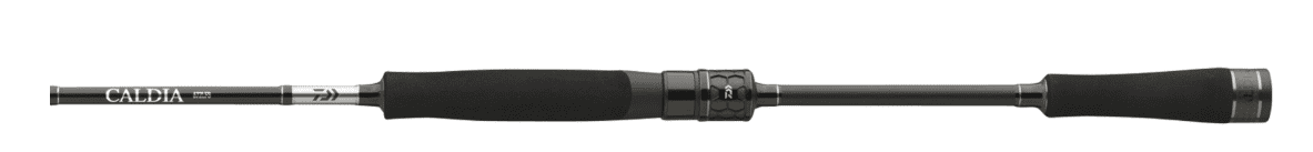 Elektrisches Gerät, Mikrophon