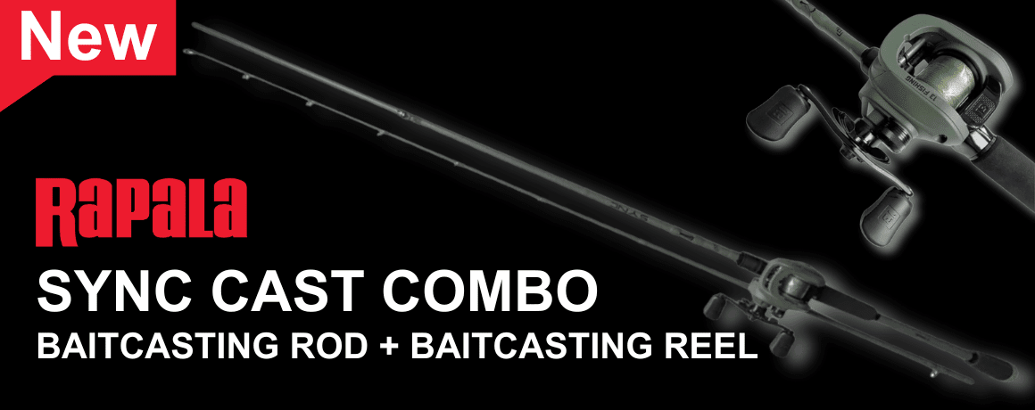 Feuerwaffe, Pistole, Gewehr, Waffe, Schwert