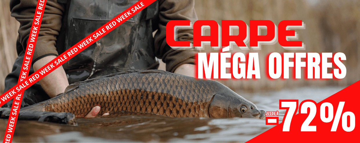 angler, fish, fishing, catch, big fish