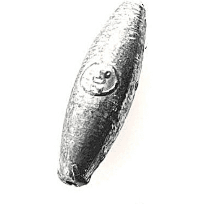Tier, Fische, Hering, Leben im Meer, Sardine