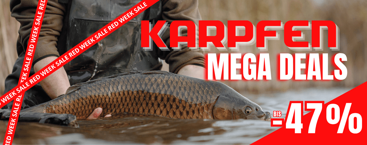 karpfen, angelgerät?, angelrute?, fisch, meeres?, waage?, rot?, braun?, natur, fischerei
