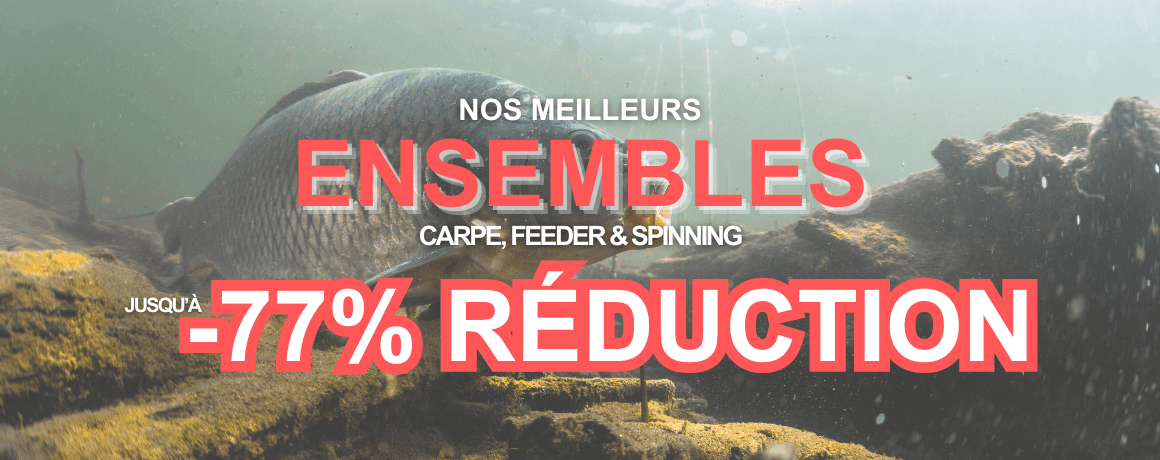 Tier, Leben im Meer, Bär, Tierwelt, Fische