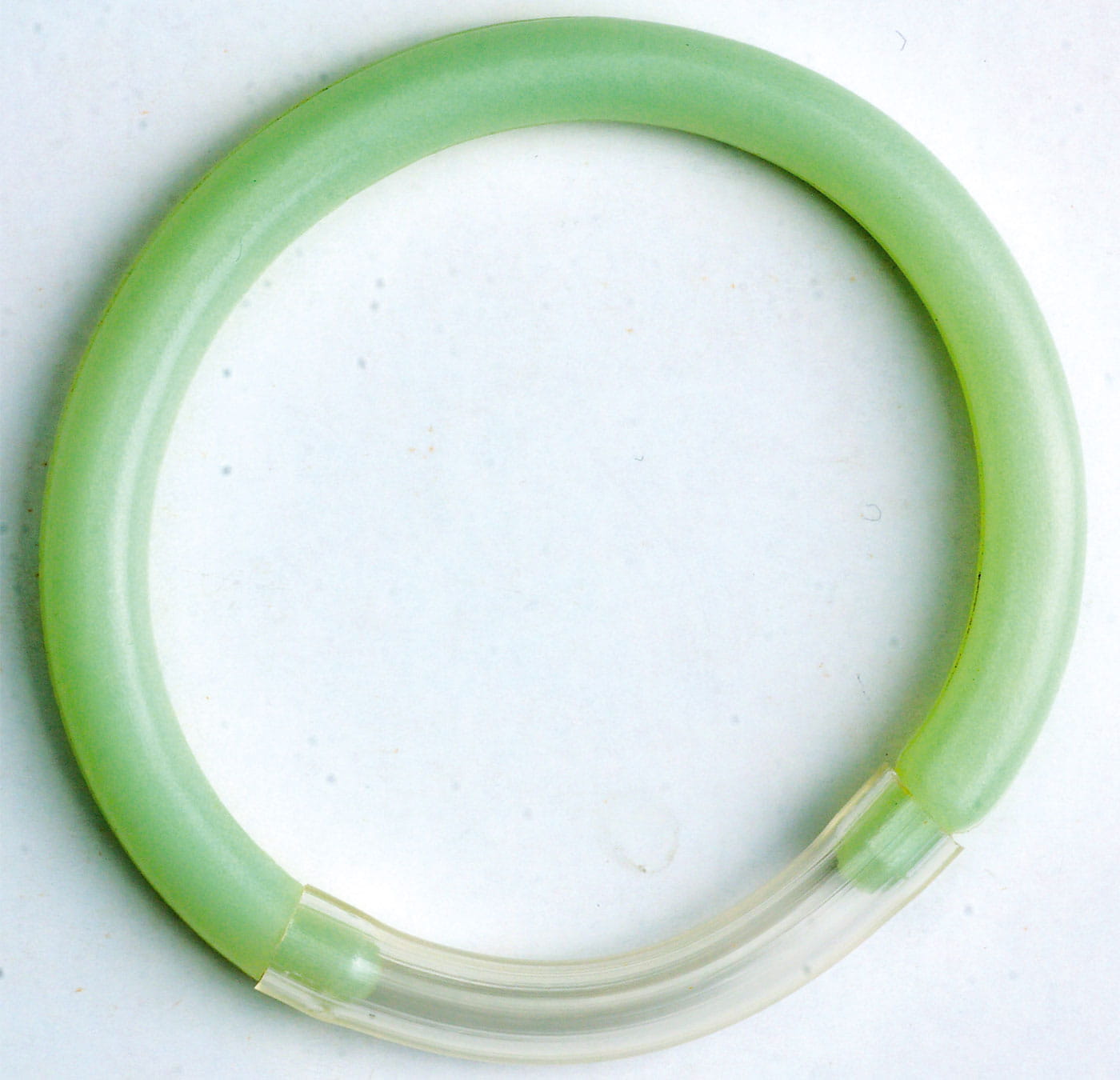 Sänger Ringbissanzeiger Grün