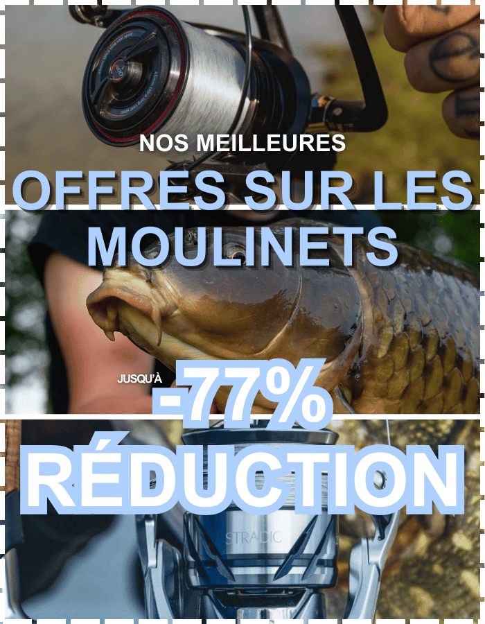 Photographie, Erwachsener, Weiblich, Person, Frau