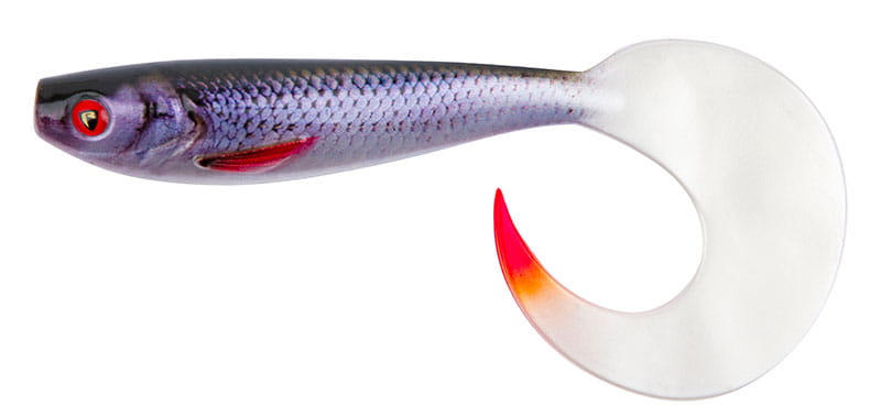 Softbait, Angellure, Gekrümmte Schweif, Lila Verlauf, Kringel-Schwanz