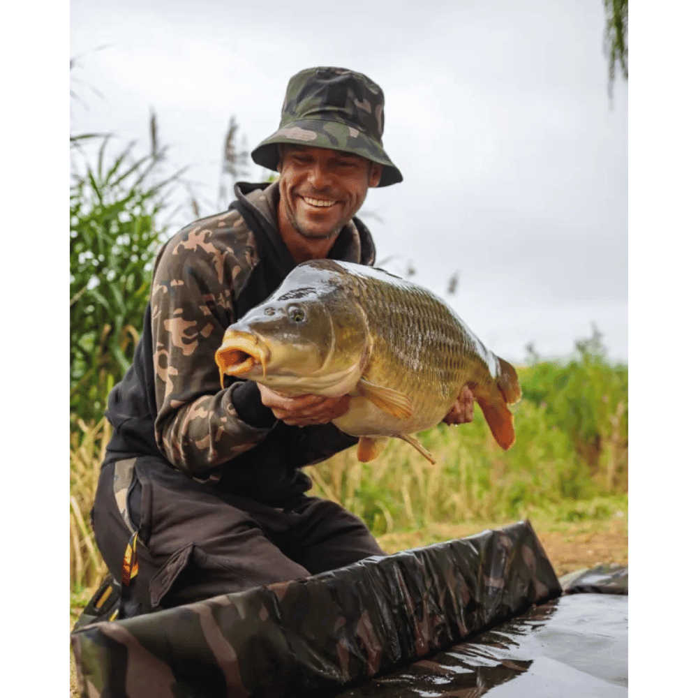 Fische, Erwachsener, Männlich, Mann, Person