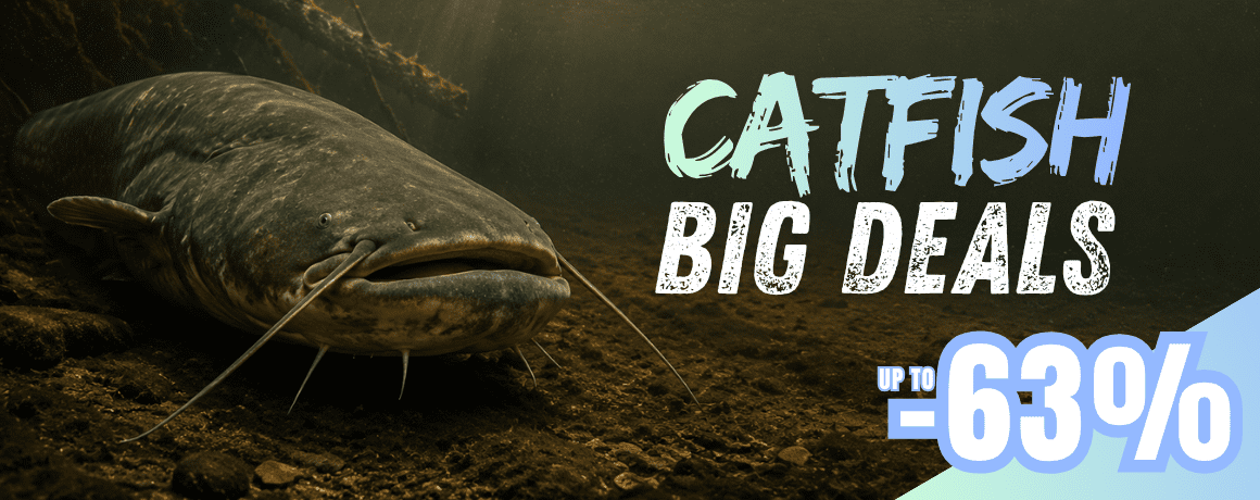 catfish, fisch, aquatisch, unterwasser, barteln