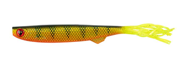 Tier, Fische, Leben im Meer, Hai