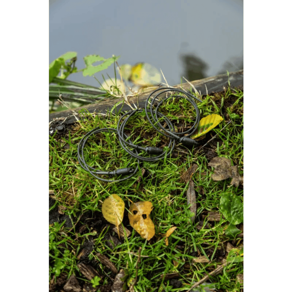 Pflanzenwuchs, Gras, Boden, Innenarchitektur, Blatt