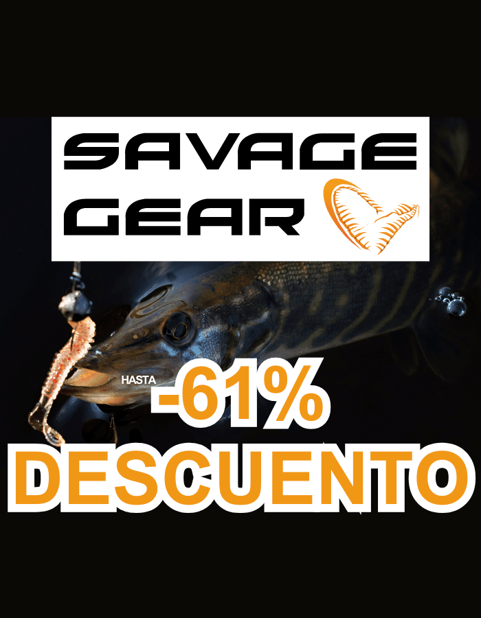 Tier, Fische, Leben im Meer, Hecht