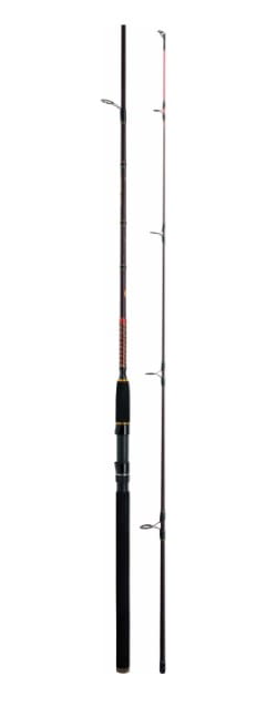 WFT Royal Never Crack Spin 240 cm 10-30 g Fischen, Draußen, Wasser, Angler, Person