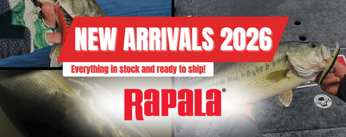 Tier, Leben im Meer, Person, Fische