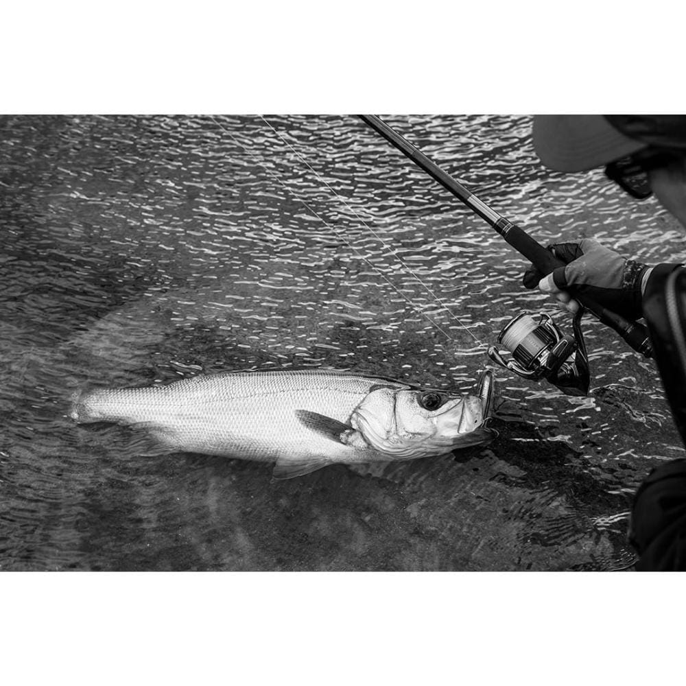 Shimano-Stella-C5000XG-15