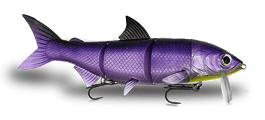 Köderfisch, Kunstköder, Gummifisch, Angeln, Lure