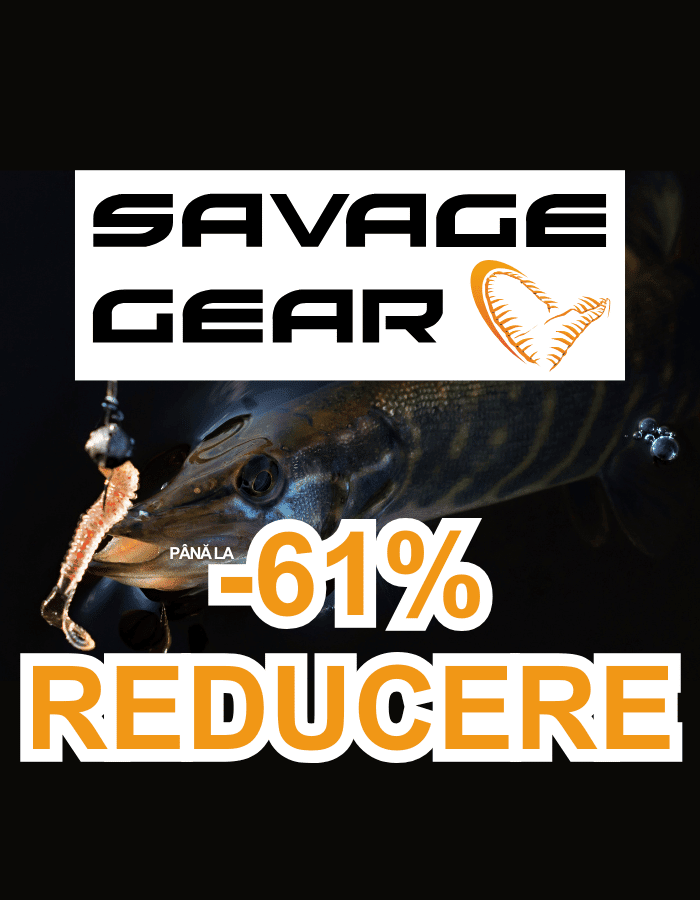 Tier, Fische, Leben im Meer, Hecht