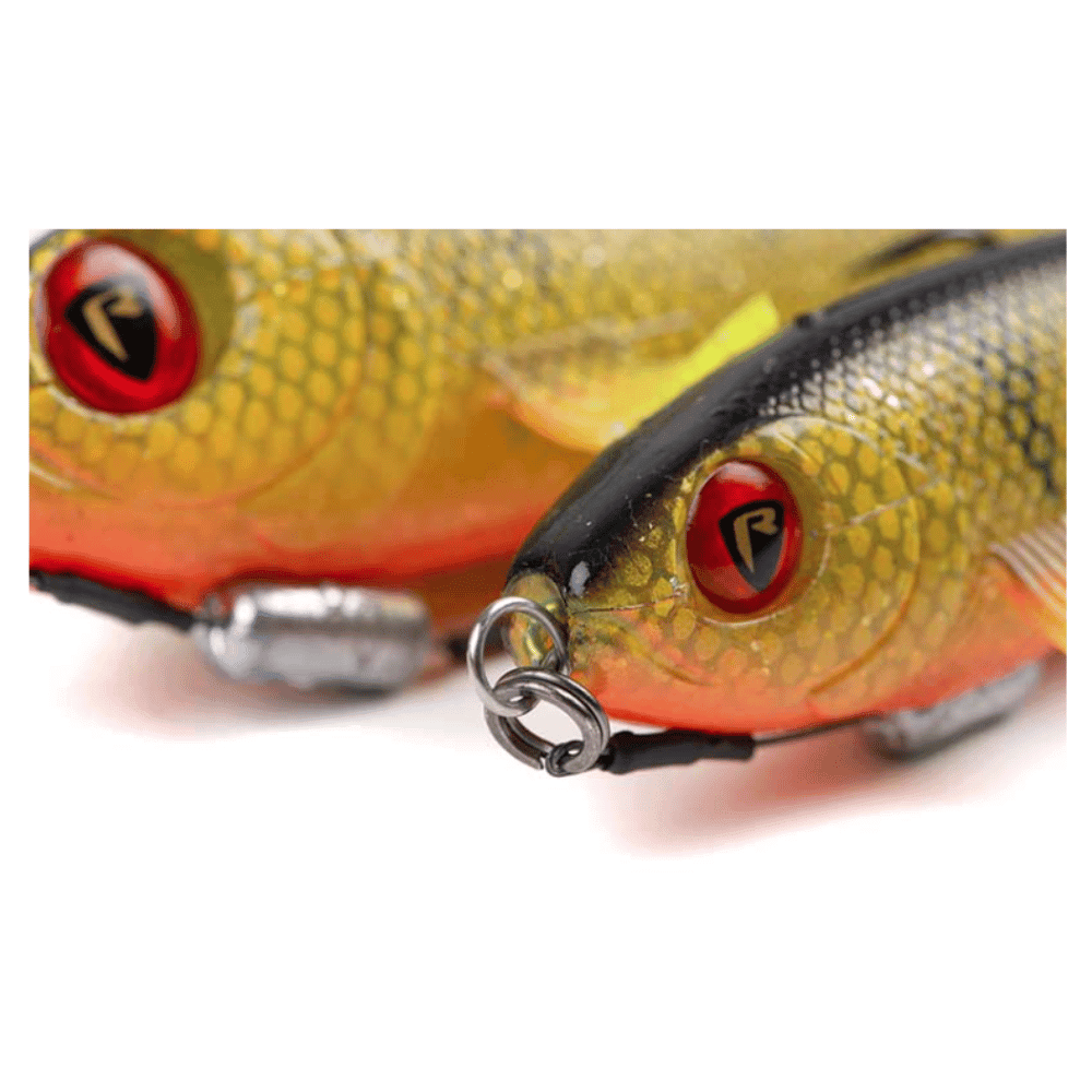 Tier, Fische, Leben im Meer