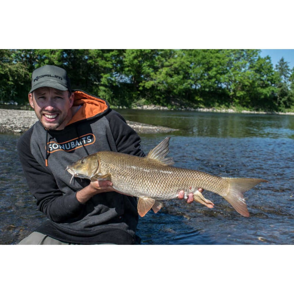 Tier, Fische, Leben im Meer, Person, Karpfen
