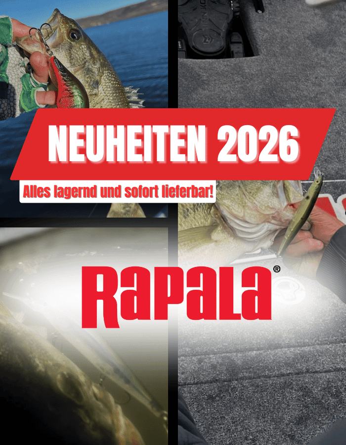 Tier, Fische, Leben im Meer