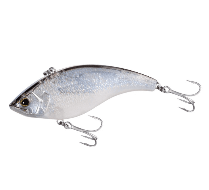 Fische, Leben im Meer, Elektronik, Hardware, Köder zum Angeln