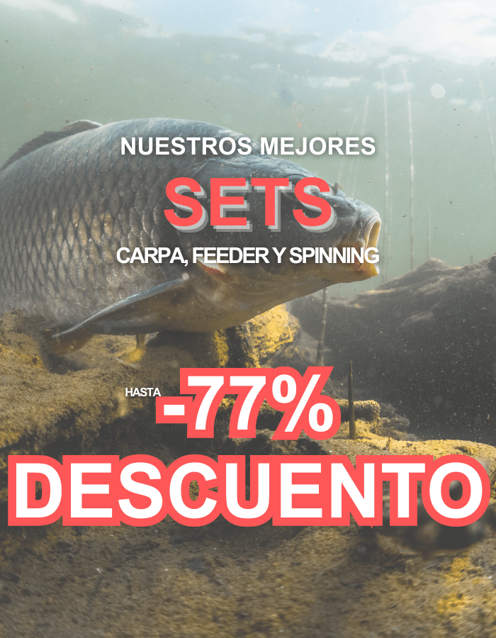 Tier, Leben im Meer, Karpfen, Fische