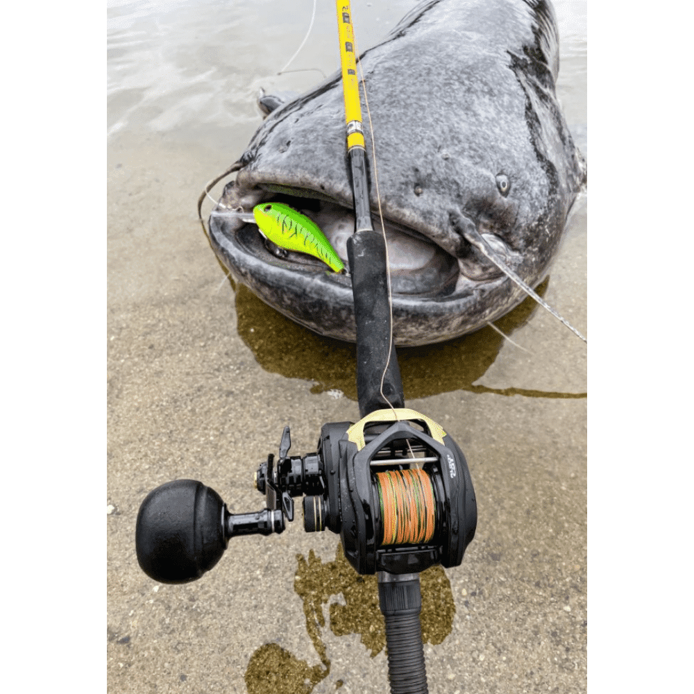 Black Cat Premium Stainless Steel Rod Holder Catfish Fishing