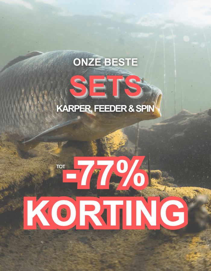 Tier, Karpfen, Fische, Leben im Meer