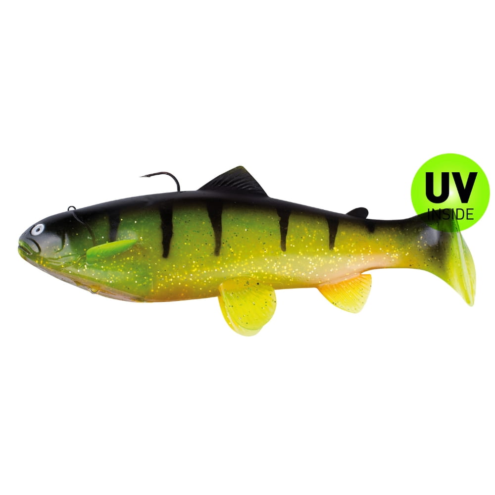 Castaic Swim Bait Trota 20 cm affondante Reno Perch Orange Tier, Fische, Leben im Meer