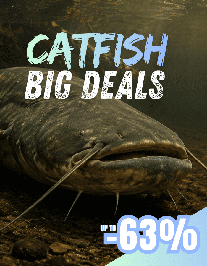 Katzfisch, Fisch, Wasser, Schnurrhaare, Kiemen, Katzfisch, Fisch, Großes Angebot Banner, Rabatt, Unterwasserwesen