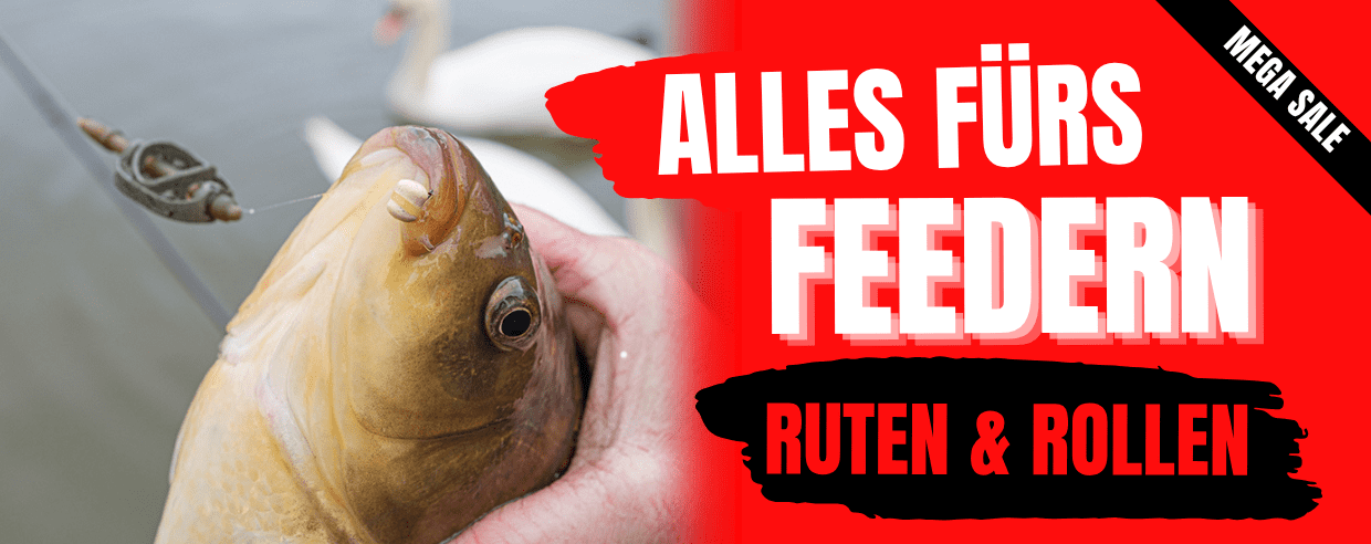 angelha, fisch, angel, futter, spiegel