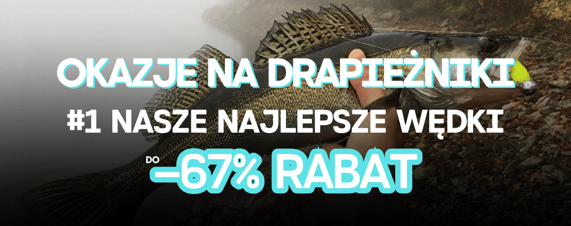 Tier, Leben im Meer, Fische, Barsch