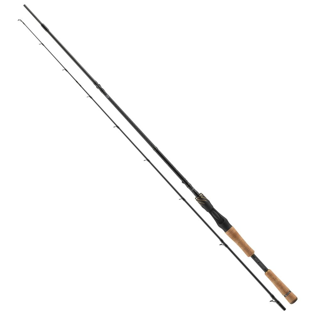 Daiwa Morethan Shad Attack Baitcast 210 cm 14-42g Fischen, Draußen, Wasser, Angler, Pfeil