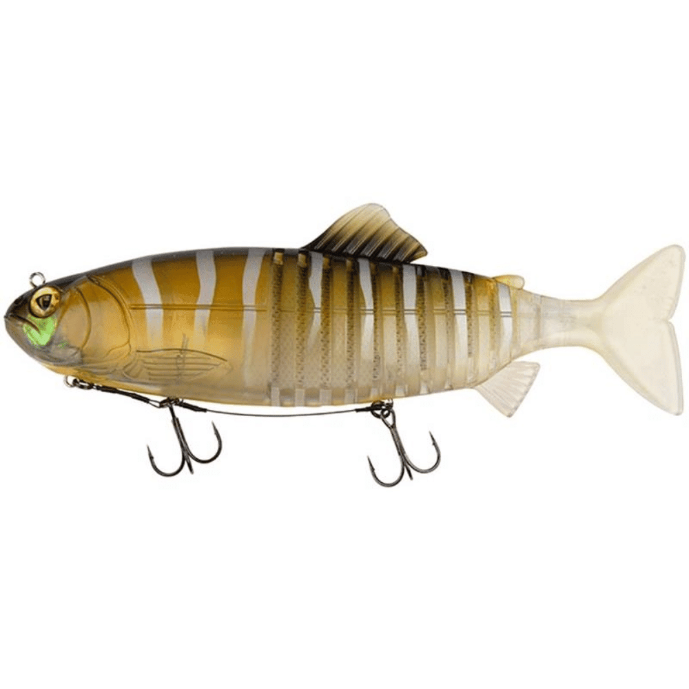 Tier, Fische, Leben im Meer