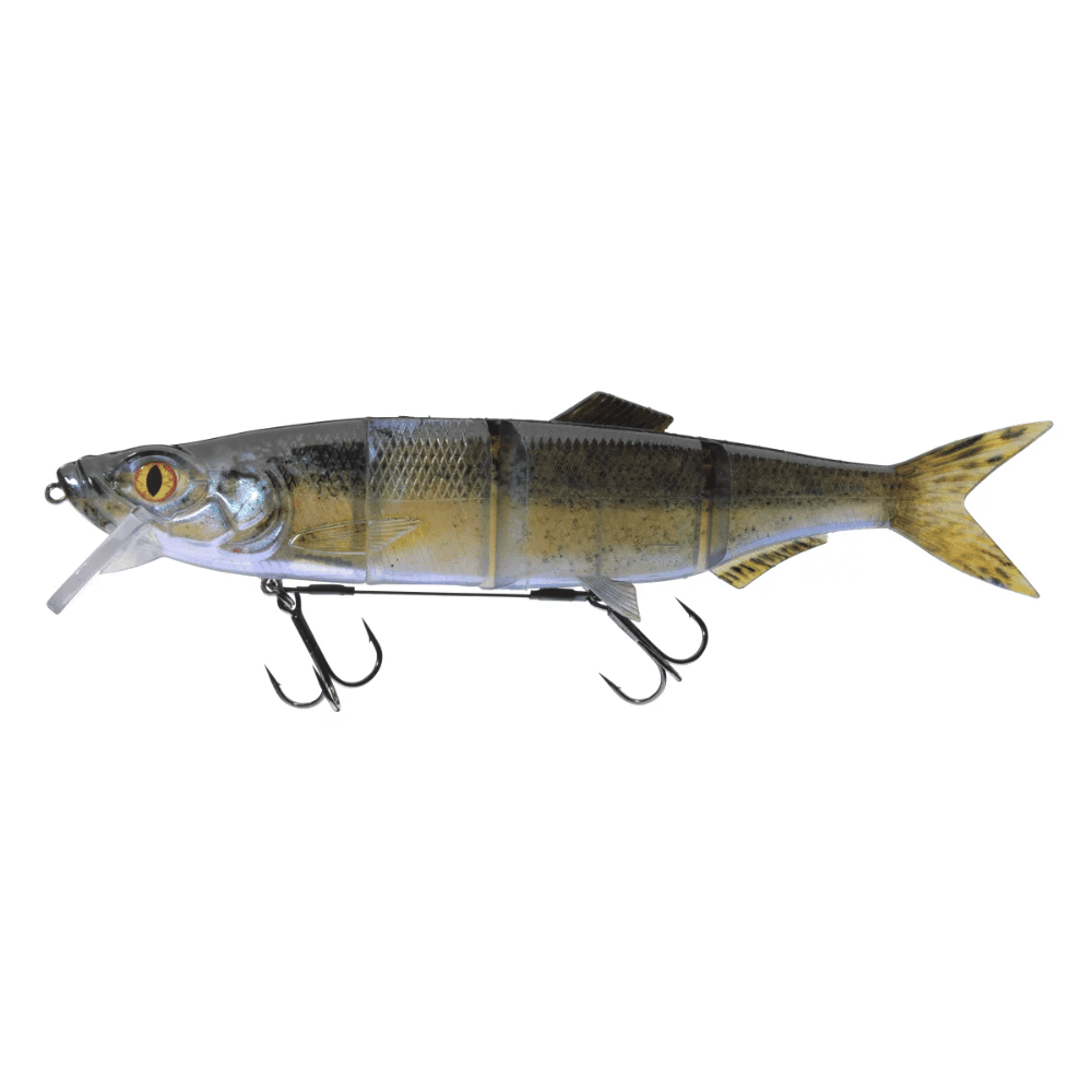 Daiwa Prorex Hybrid SB250 25cm 125g 3D Baby Lucioperca Tier, Fische, Leben im Meer