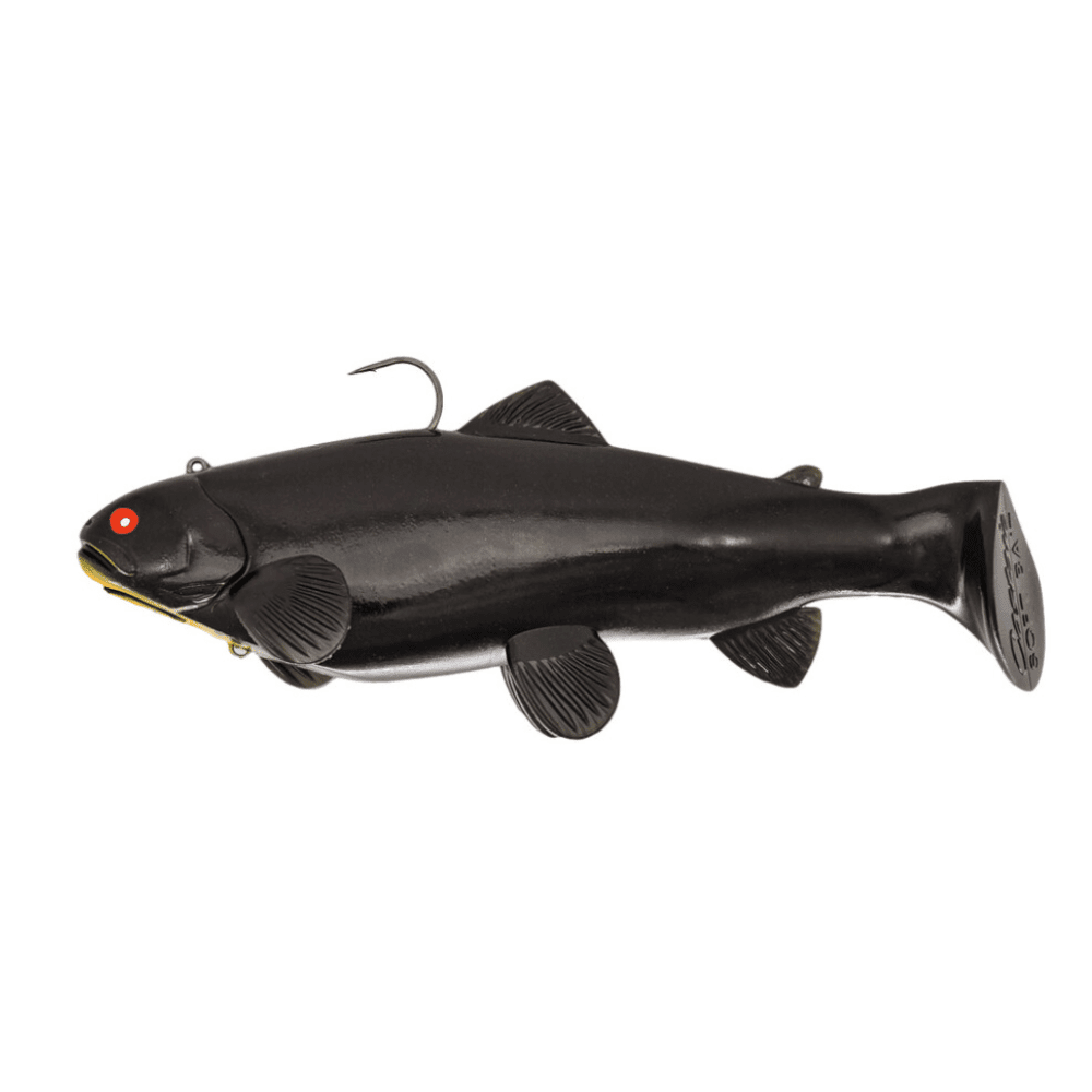 Castaic Swim Bait Trota 25cm affondante Nero Tier, Fische, Leben im Meer, Coho