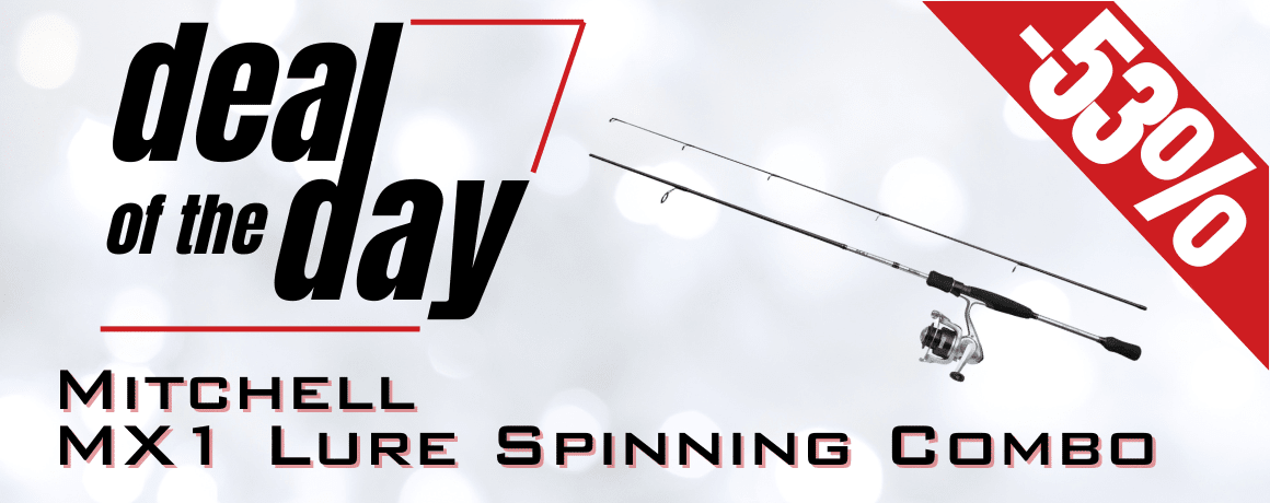 Fischen, Draußen, Wasser, Angler, Person