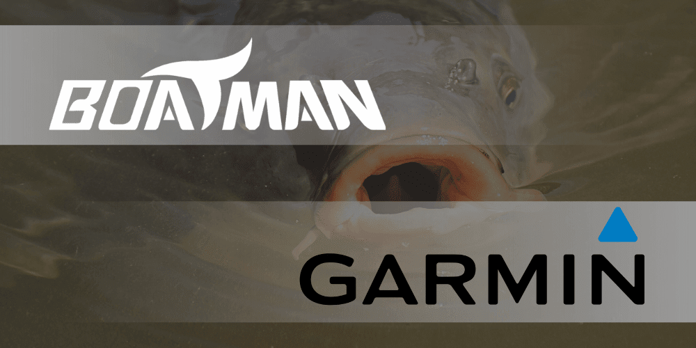 Tier, Karpfen, Fische, Leben im Meer