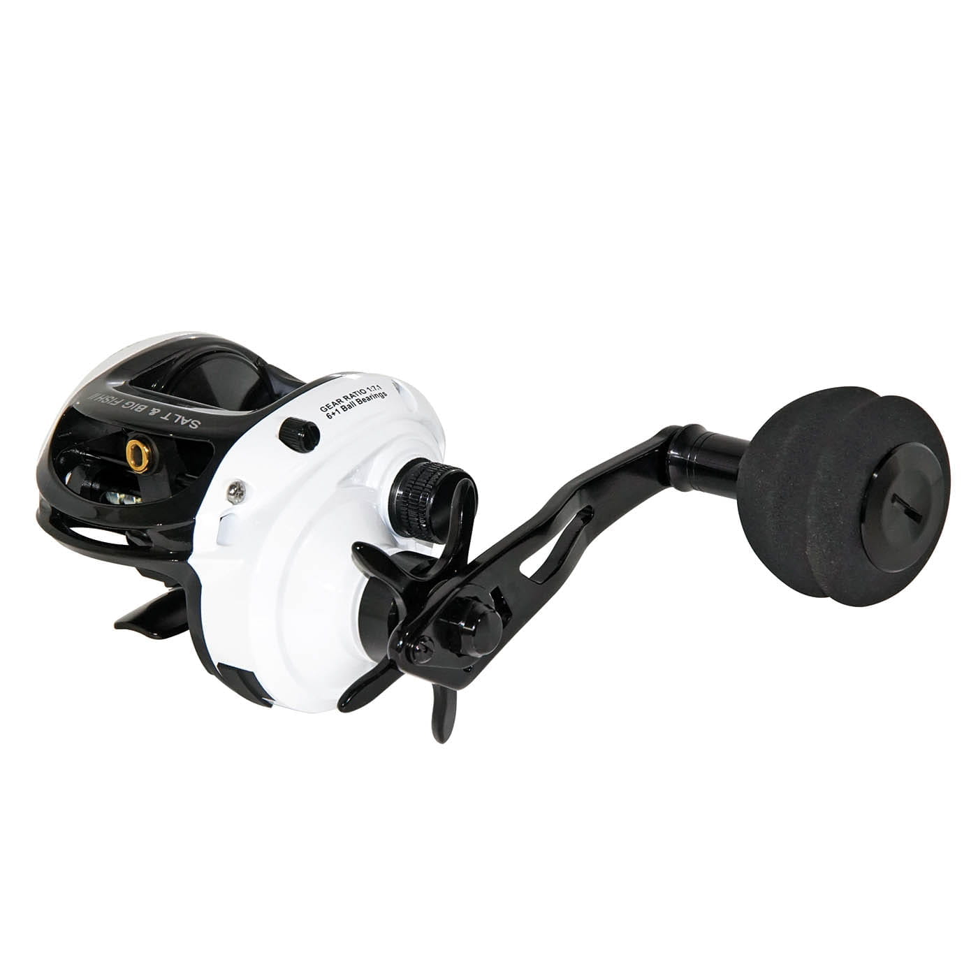 salt-and-big-fish-ii-baitcastrolle Salt & Big Fish II Baitcastrolle