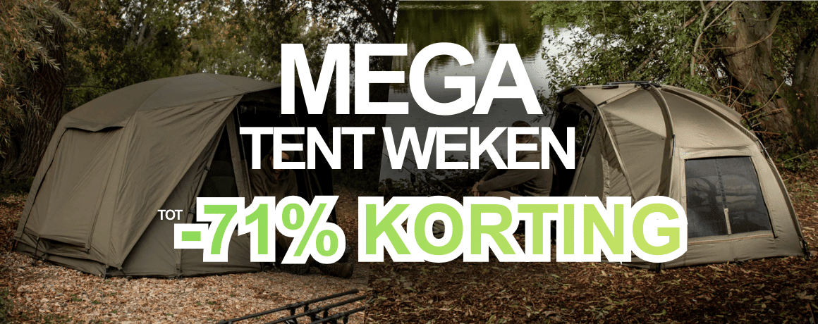 Zelt, Draußen, Campen, Natur, Person