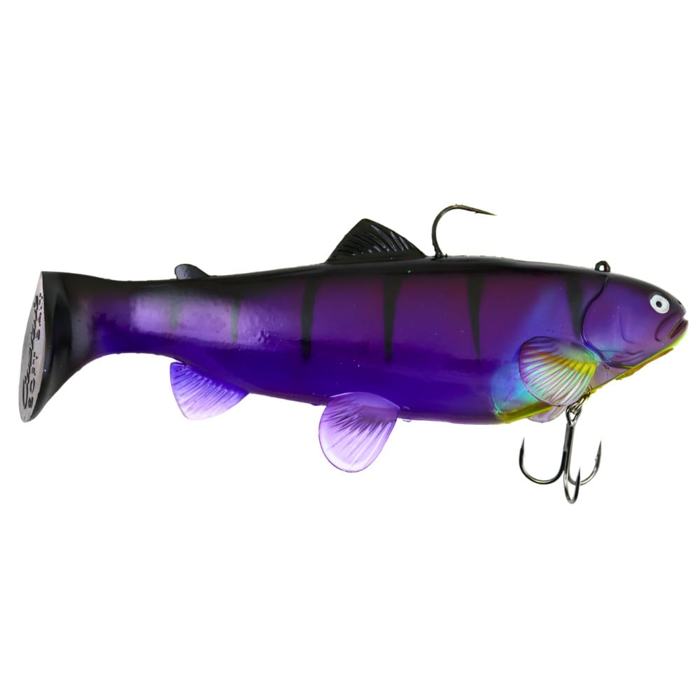 Castaic Swimbait Trout 2.0 25cm (10") Süllyedő Mad Perch Tier, Fische, Leben im Meer