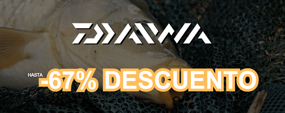 Tier, Karpfen, Fische, Leben im Meer