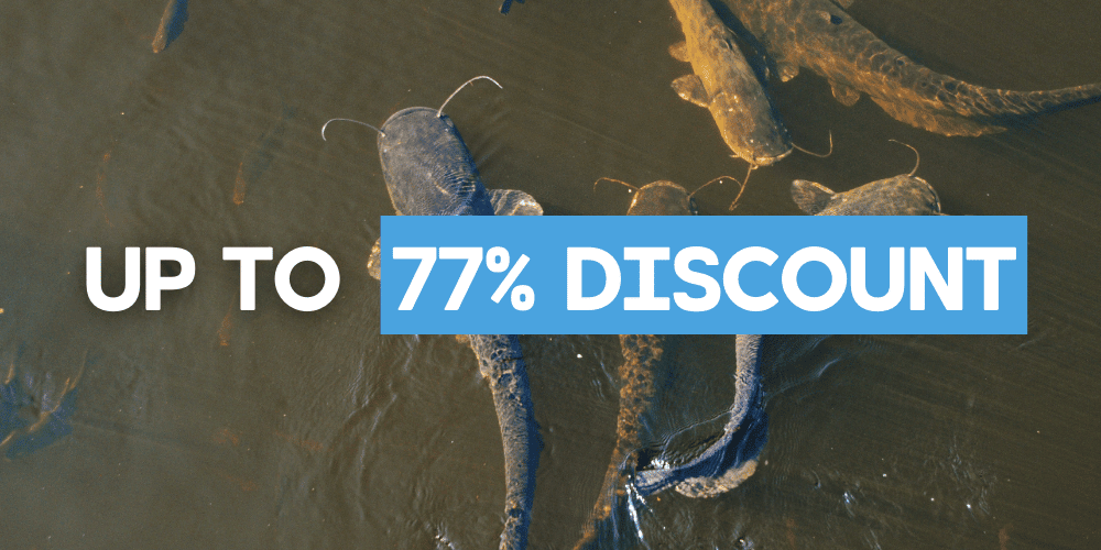 Tier, Reptil, Leben im Meer, Schildkröte, Fische