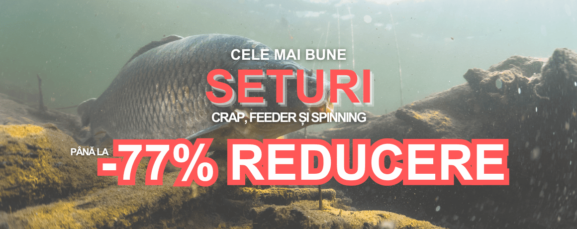 Tier, Leben im Meer, Karpfen, Fische