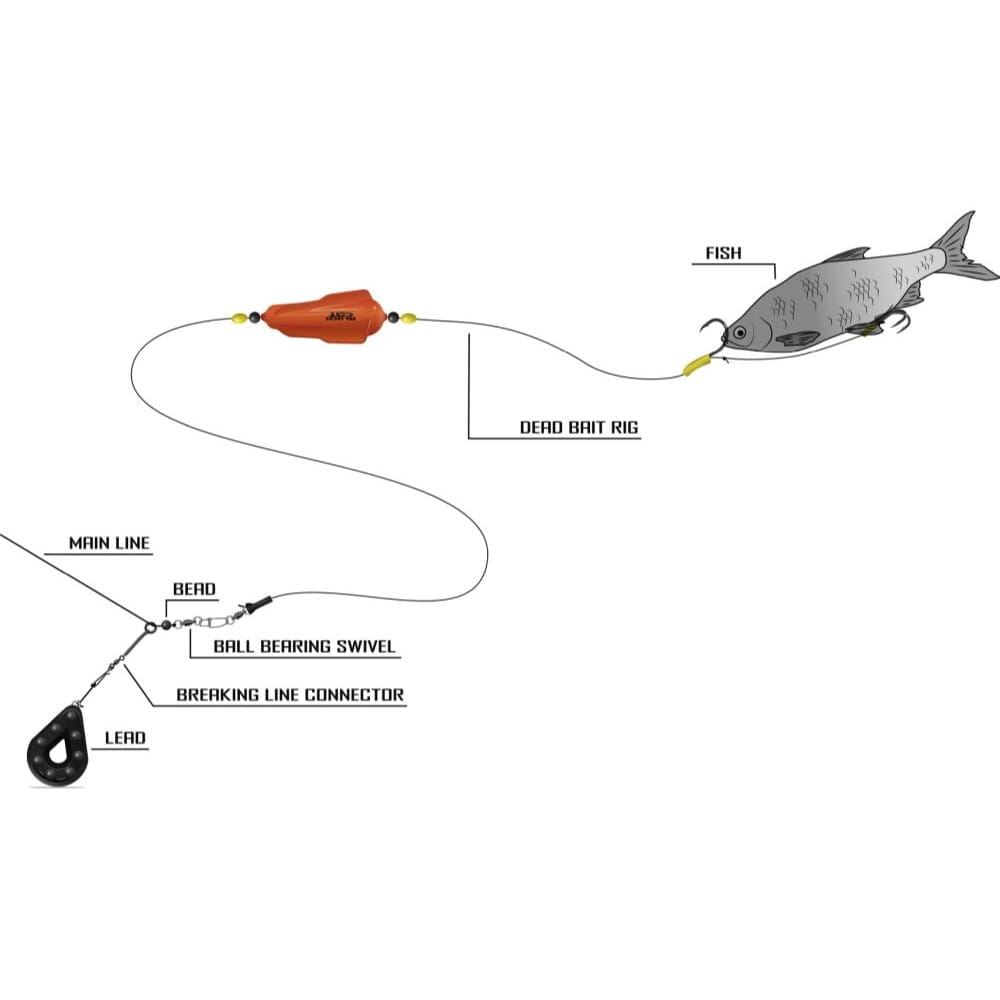 Cat Rig Skipjack Black Cat Dead Bait Rig 2,0 m 2 Haken 8/0+4/0