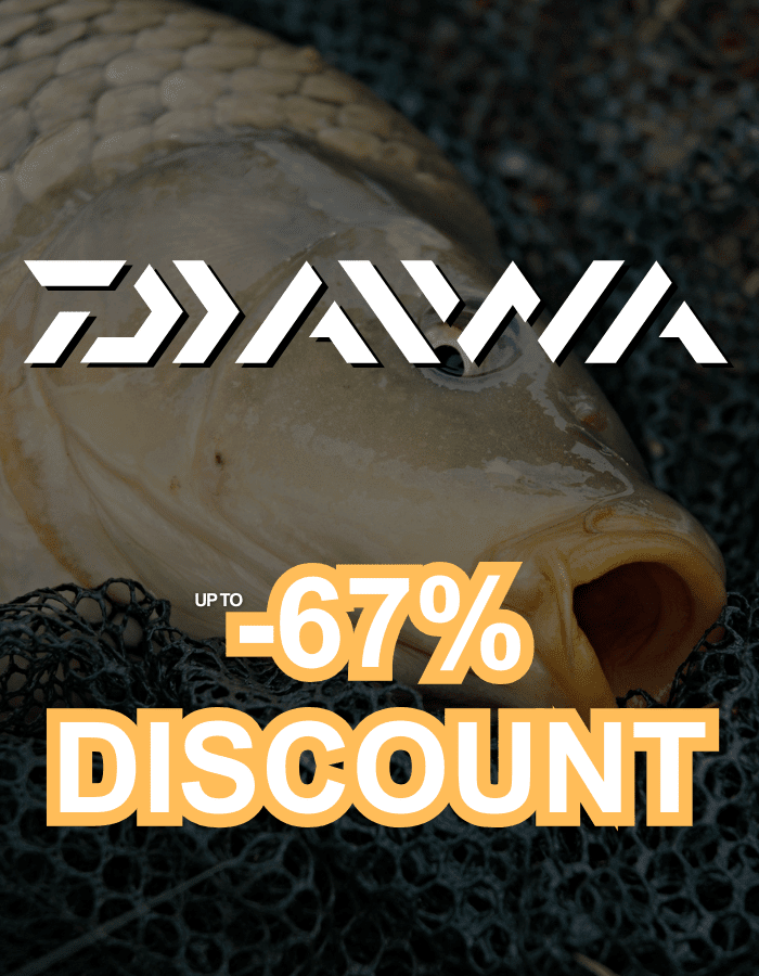 Tier, Karpfen, Fische, Leben im Meer