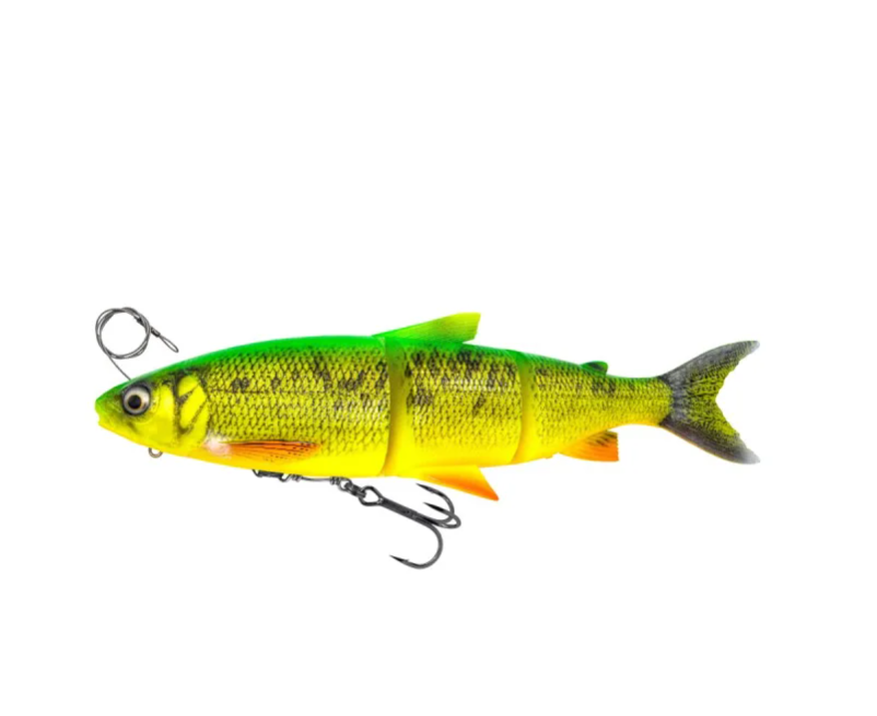 Tier, Fische, Leben im Meer