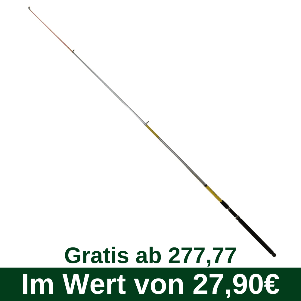 C57 Gratis vanaf 277,77 - WFT Quality Island Mutant Tele 210cm 100-200g Fischen, Draußen, Wasser, Angler, Speer