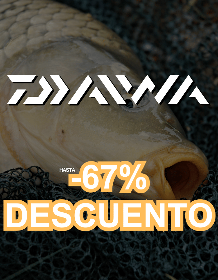 Tier, Karpfen, Fische, Leben im Meer